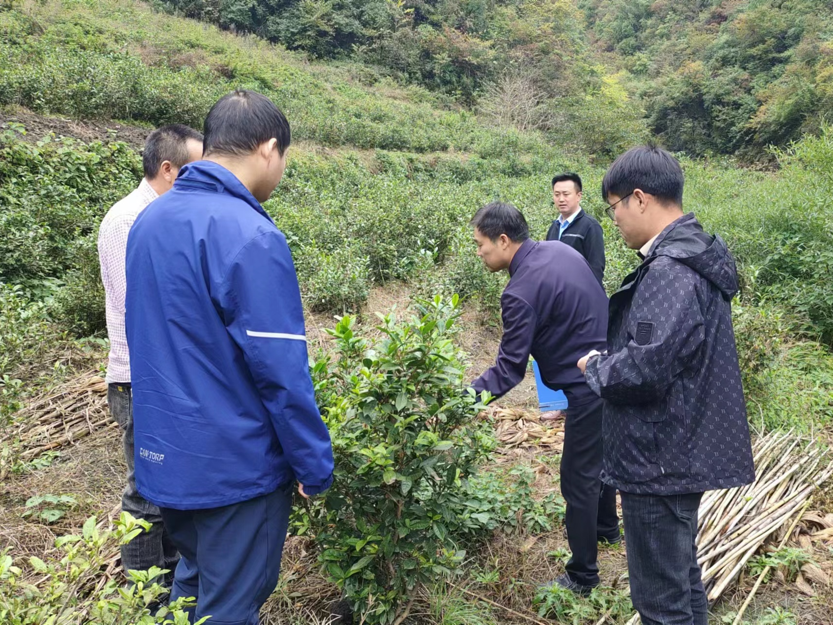 双台乡：严格验收标准 助力产业振兴