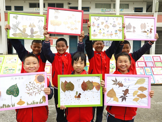 宝丰镇红卫小学：树叶贴画　环保启智
