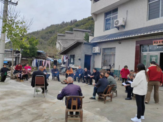 潘口乡：防治松材线虫  凝心聚力守护青山