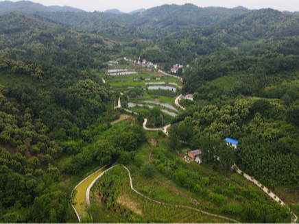 柳林乡：“人防+技防”　防火于未“燃”