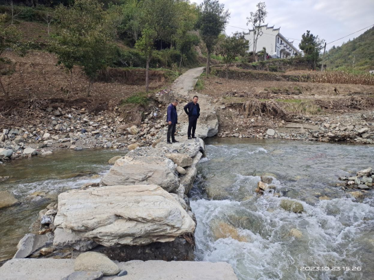 双台乡：打好组合拳  绘就新画卷