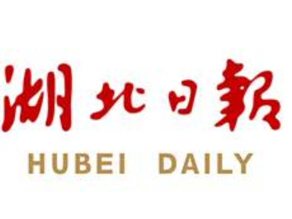 六赴进博会，湖北牵手更多海内外企业
