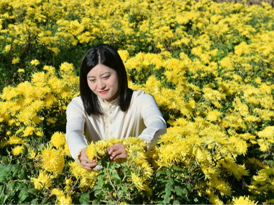 双台乡以“花”为媒引客来