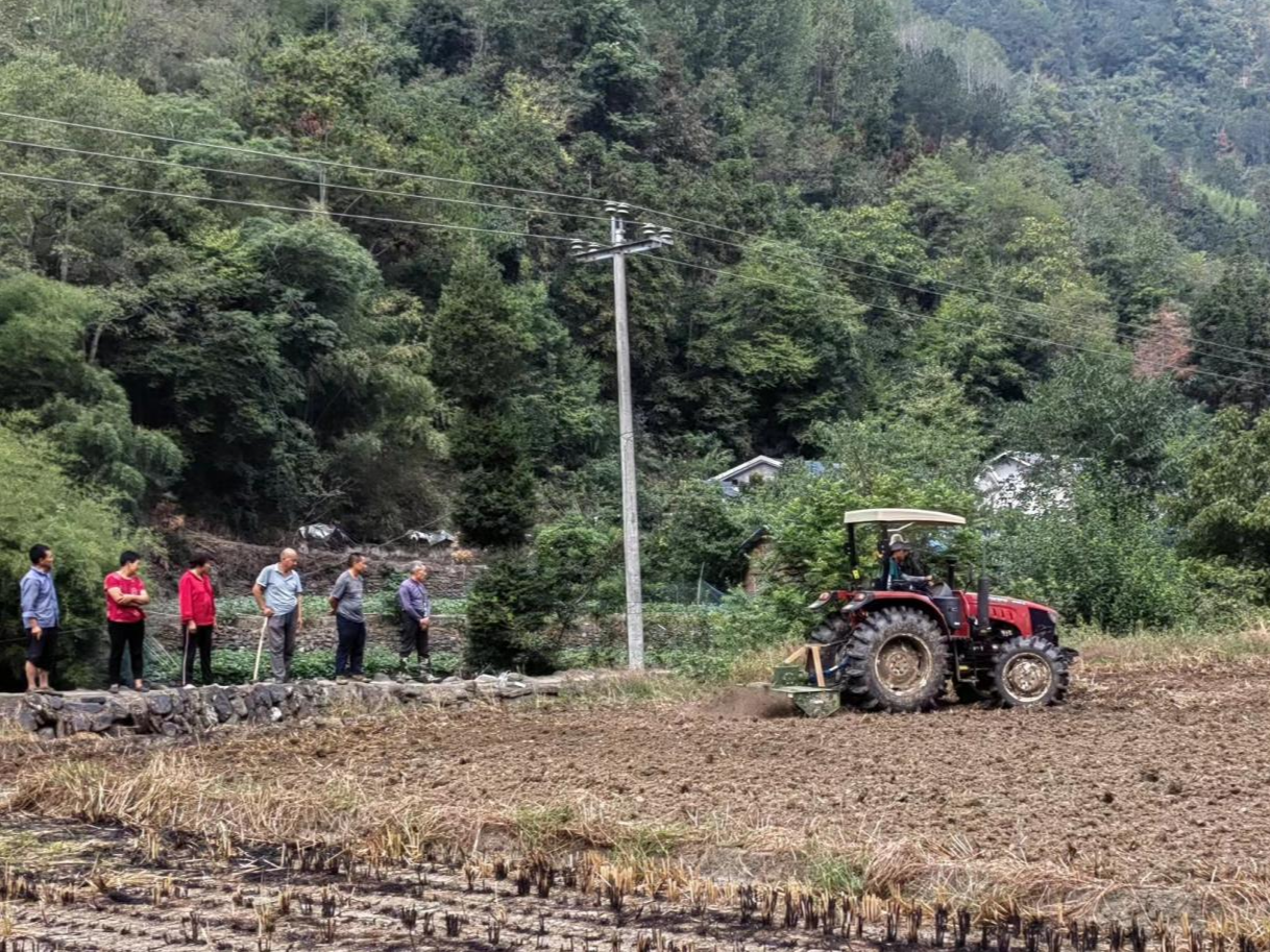 溢水镇：秋种正当时　 油菜播种忙