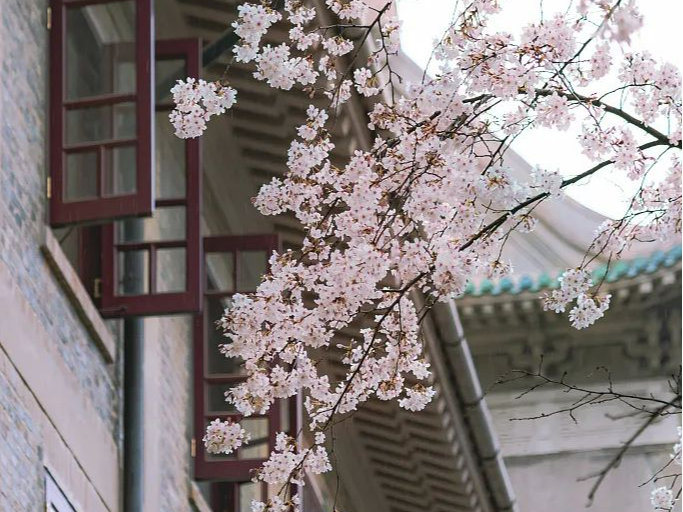 这就是，武汉大学！