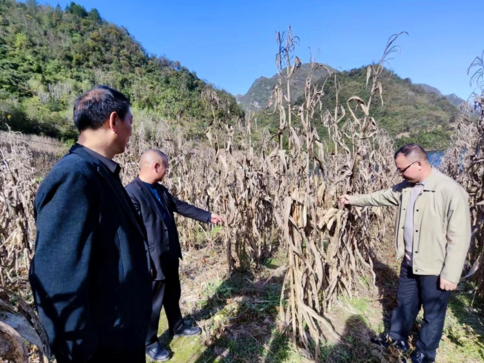 县农技专家到柳林乡开展技术服务