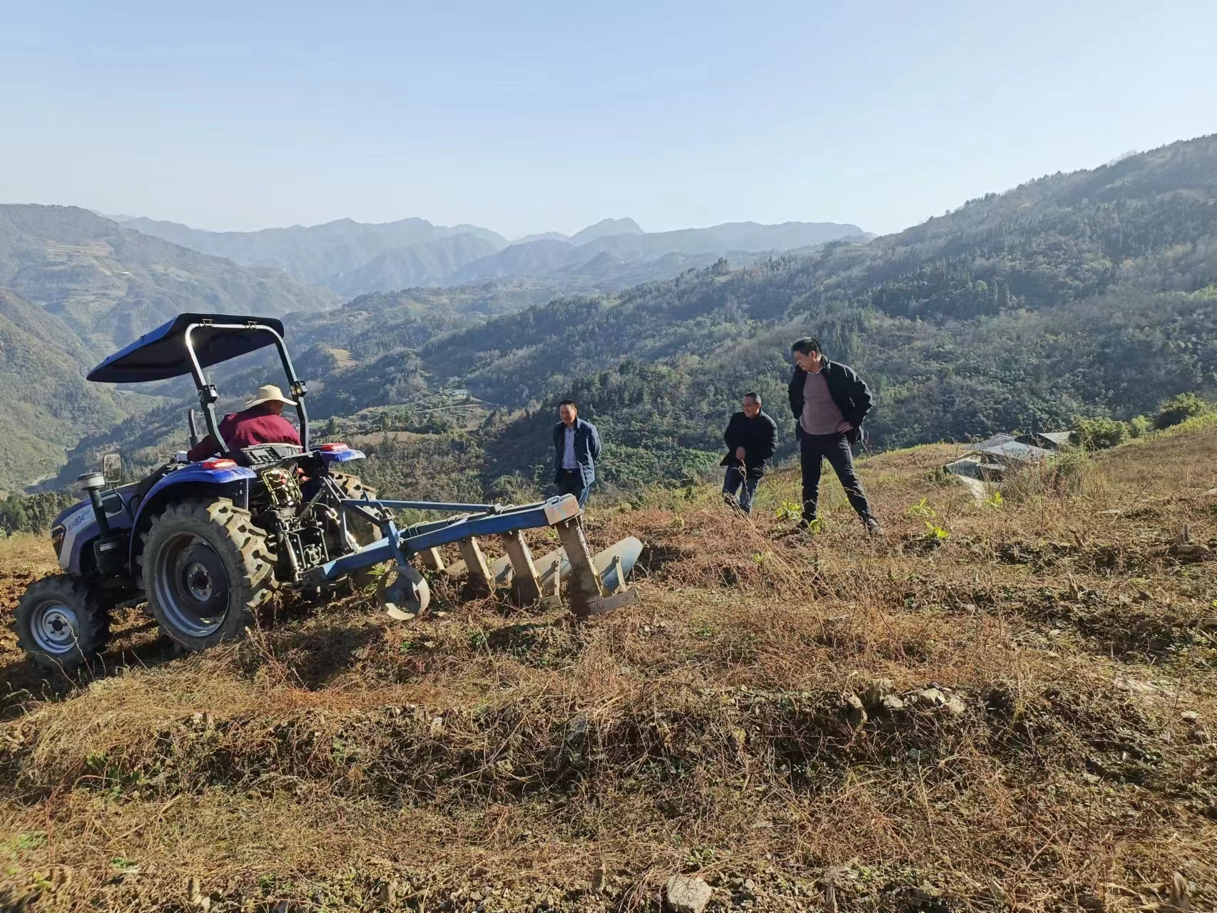 万亩烟田翻耕忙