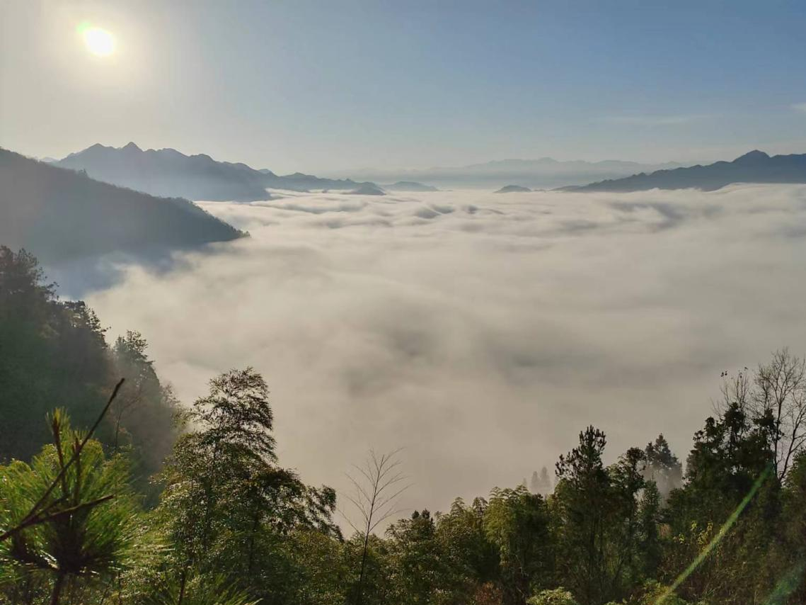 文峰乡多地出现云海盛景