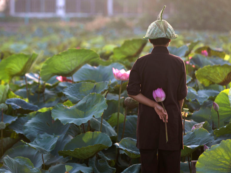 镜观世界｜河内：在“百花春城”感受千年古城的生机