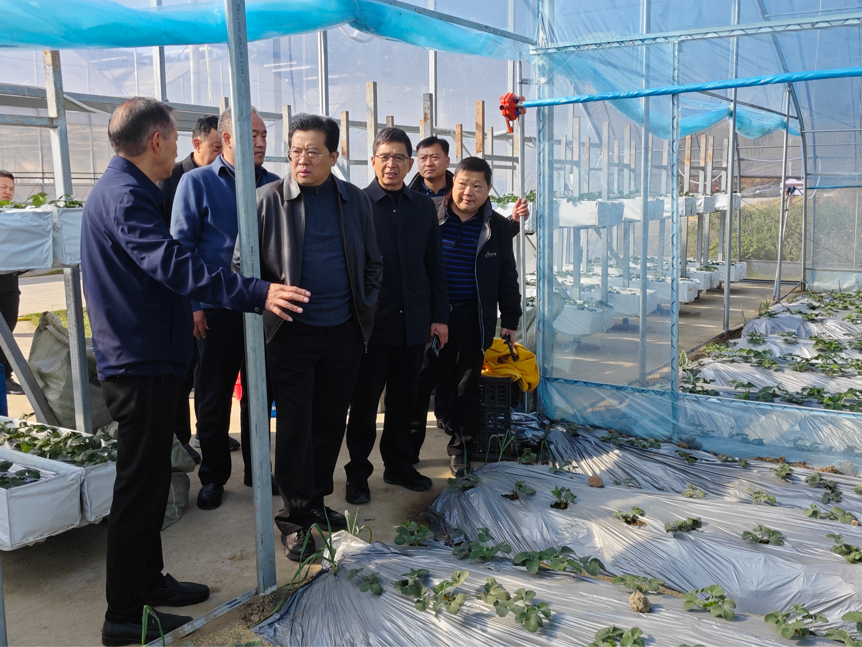 省农业事业发展中心调研我县农机化工作