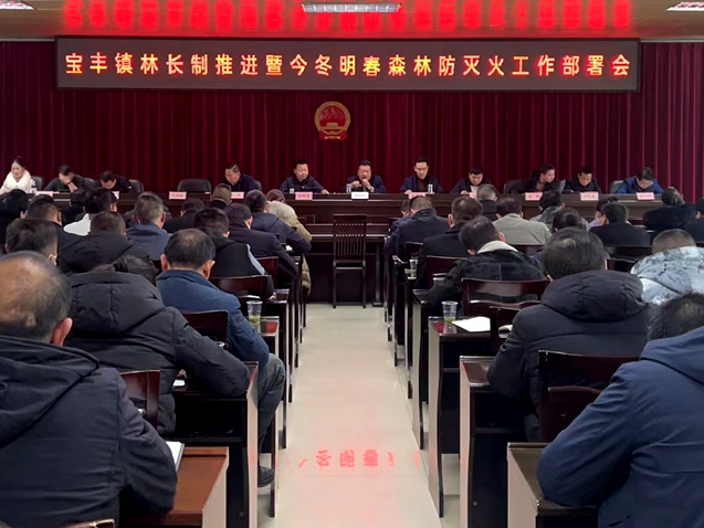宝丰镇多措并举抓森林防火