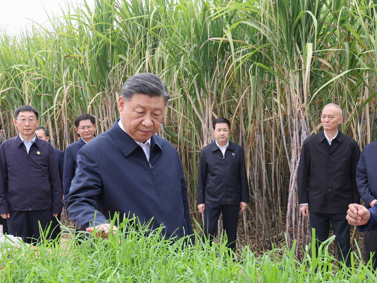习近平在广西来宾市考察调研