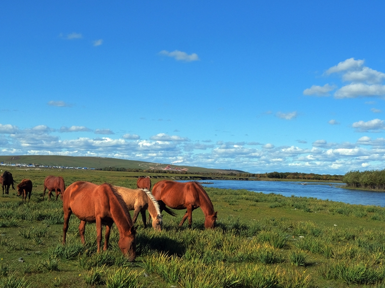 “重温习近平总书记10篇新年贺词”系列之三：为时代讴歌