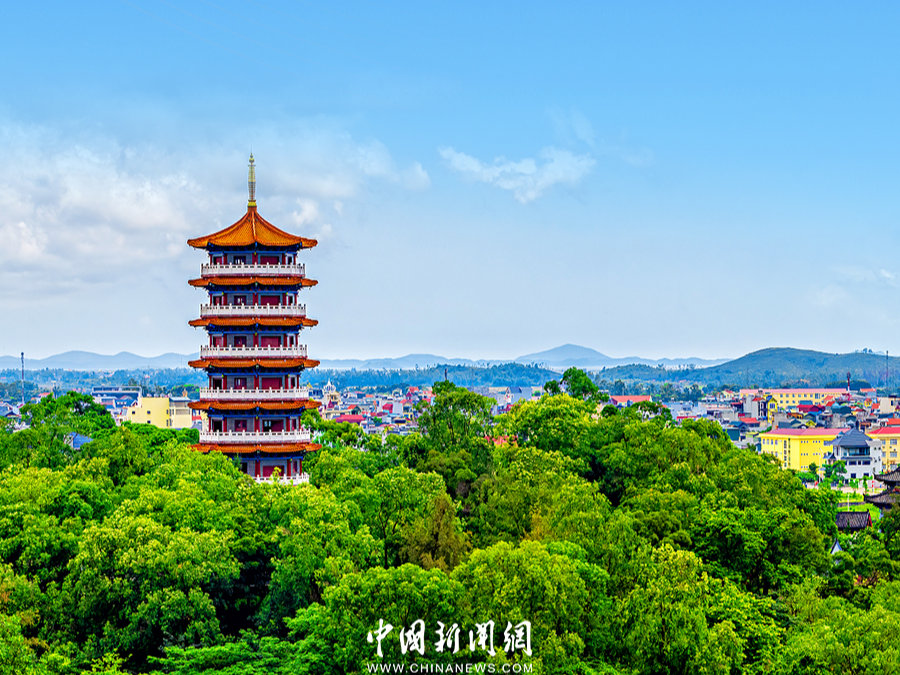 习言道｜习近平收到的这份礼物，寓意很深