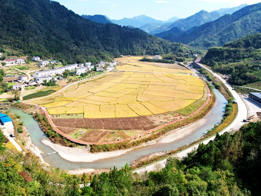 官渡鎮(zhèn)：?和美鄉(xiāng)村“煥”新顏