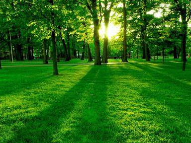 县委第四巡察组：以巡促改 “巡”亮民心路