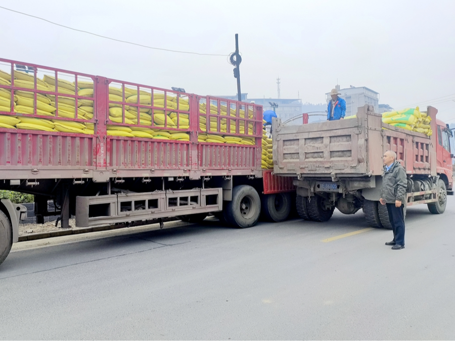 竹坪乡：种好茶  促增收