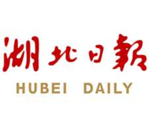 全省积极应对低温雨雪冰冻 武汉机场备足100吨除冰液 电网组织特巡71条重点线路