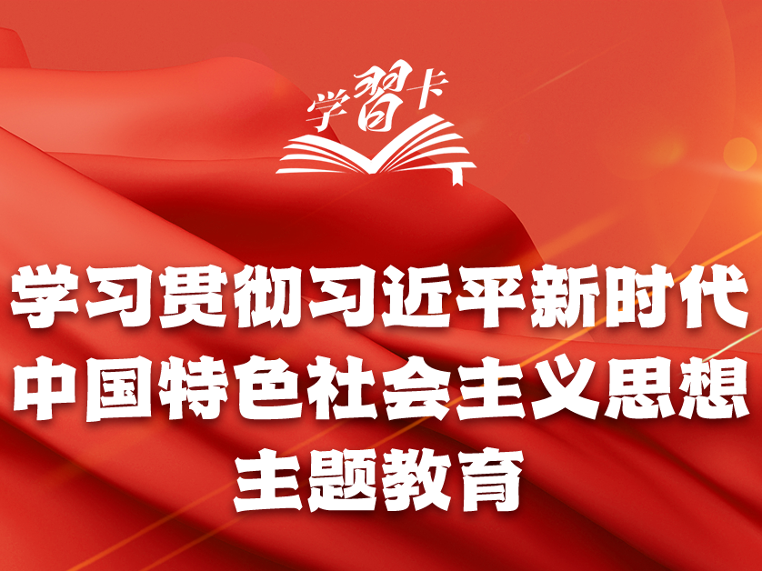 学习卡丨主题教育贯穿全年，一图全解重要知识点