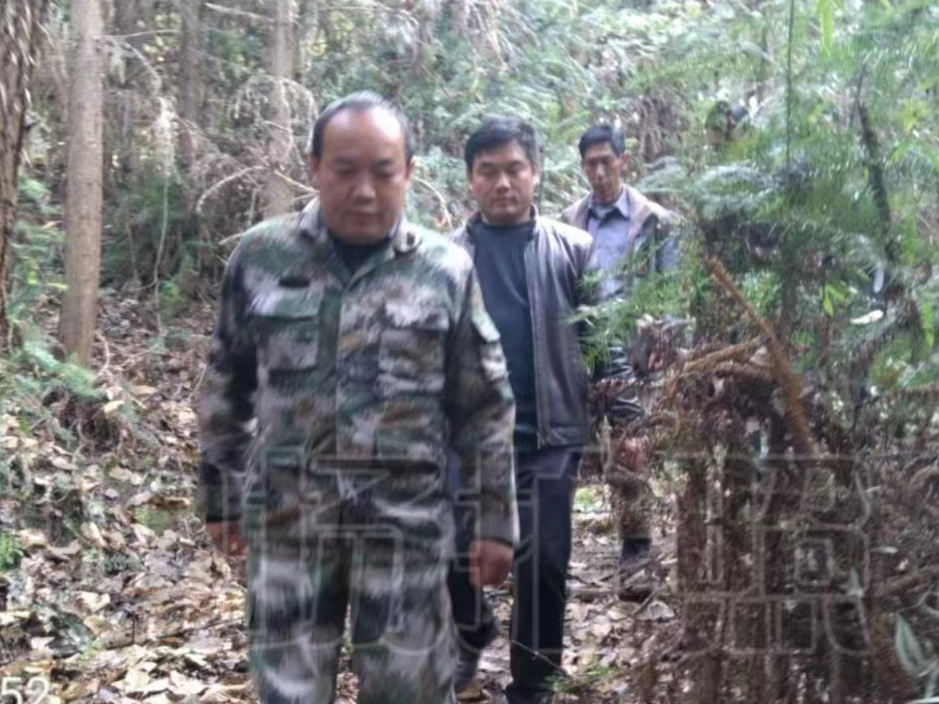 秦古镇多措并举做好松材线虫病防治工作