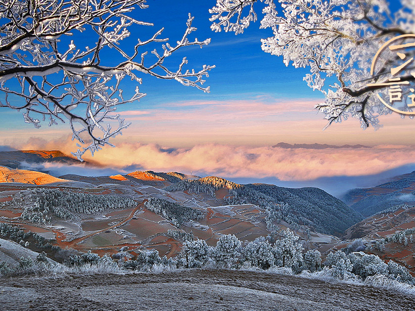 习言道｜要用更强的力量来解决这个问题