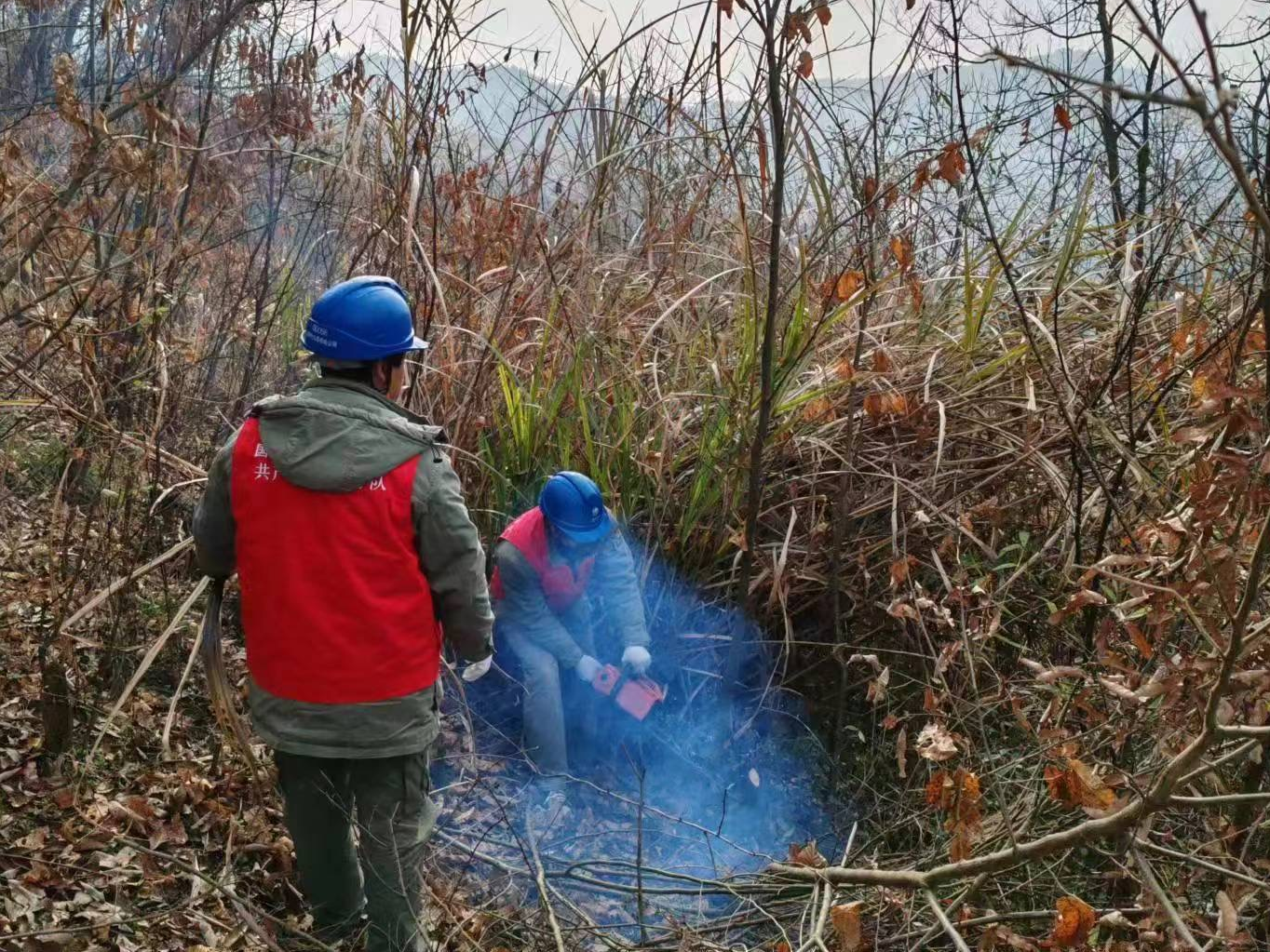 竹山供电公司：除树障 保供电
