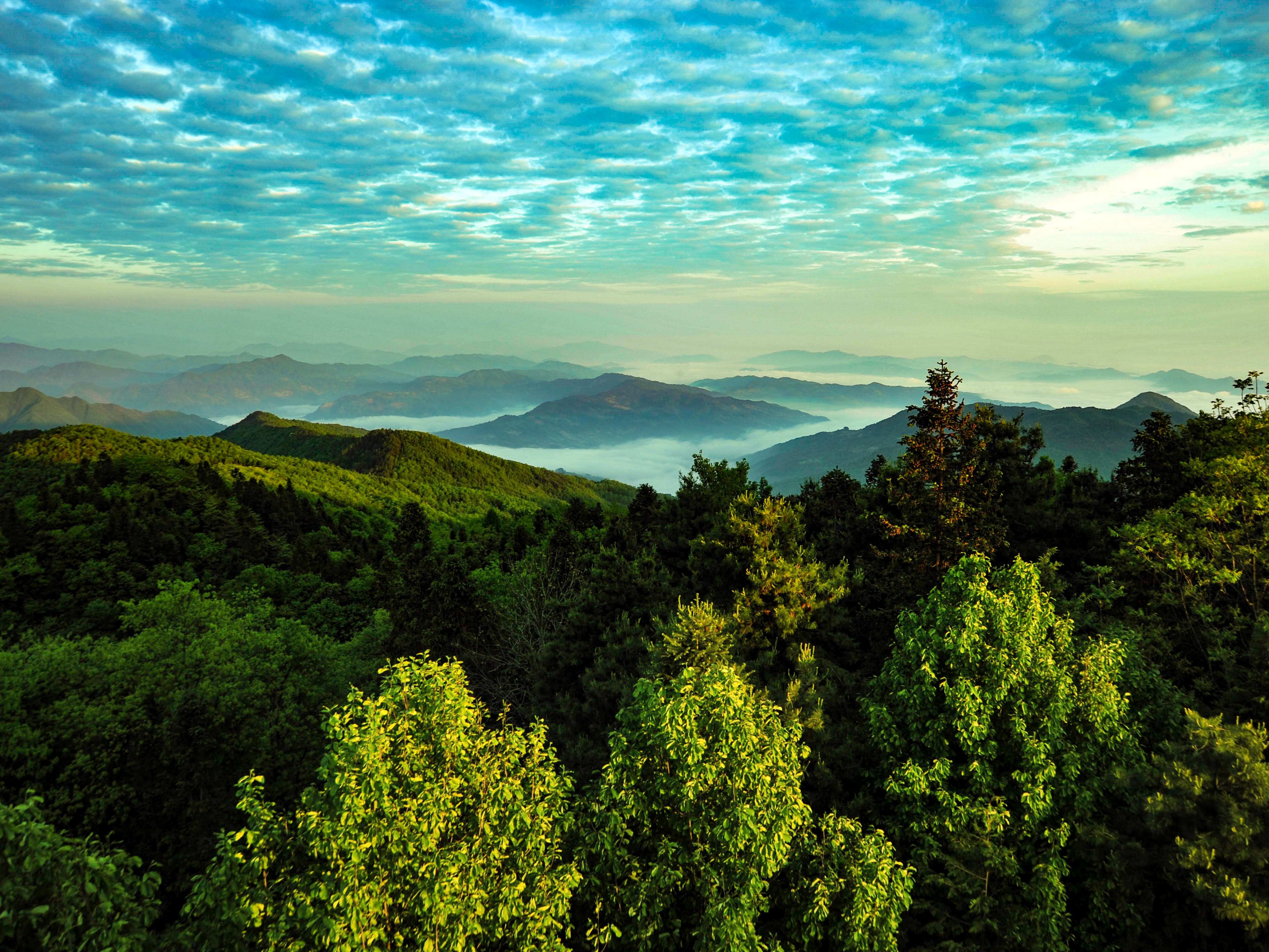 竹山：巡察助推绿松石直播“加速度”