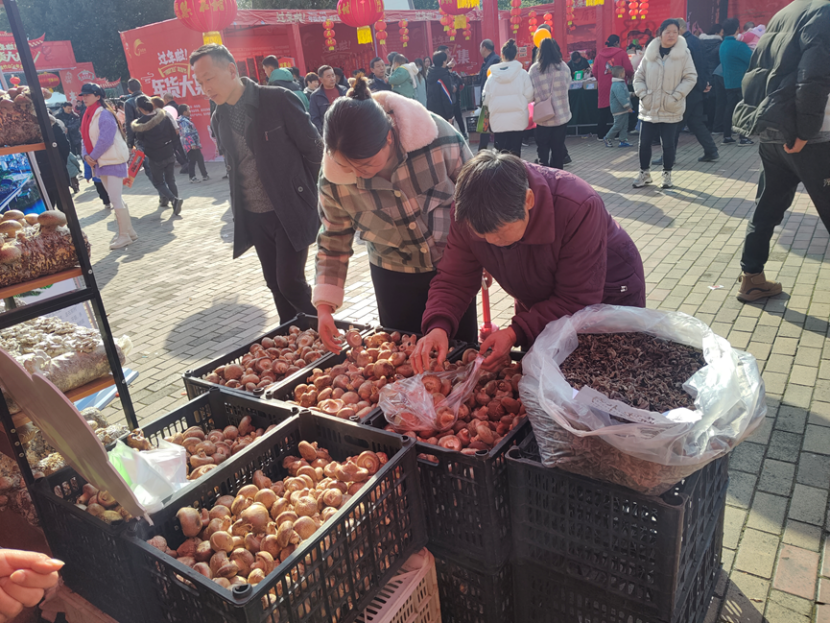 本土食用菌产品畅销2024年“寻味竹山”年货节