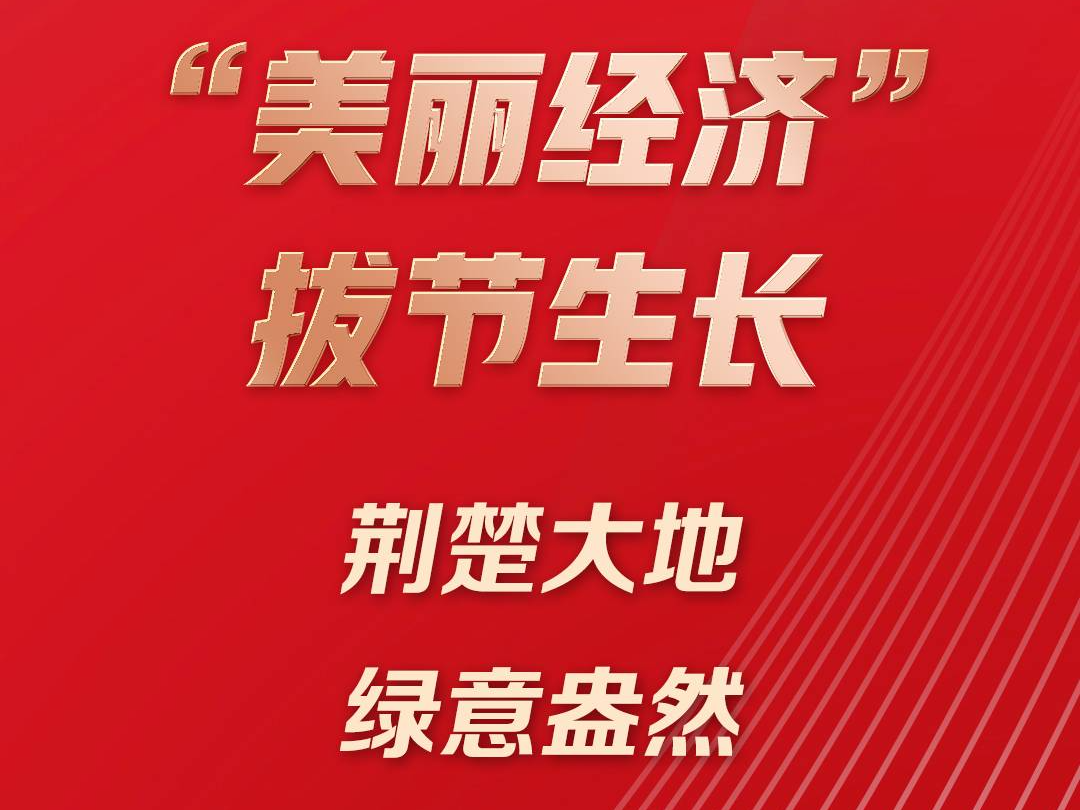 湖北省政府工作报告这些话，真提气！
