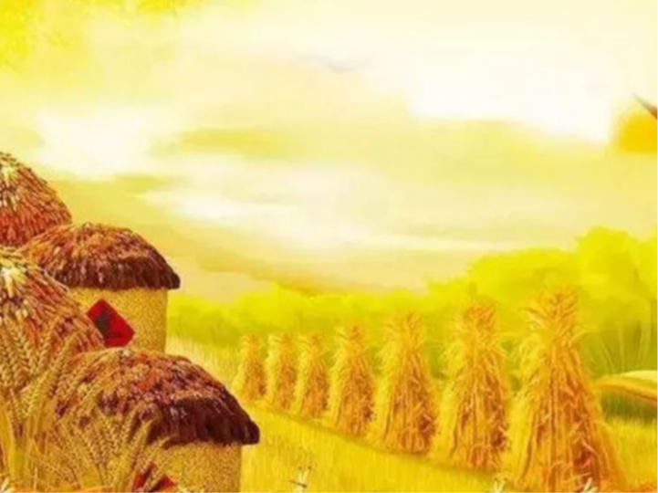 2023年我县全年粮食生产再获丰收