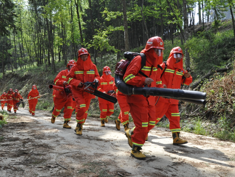 县林业局：森林防火检查不停歇
