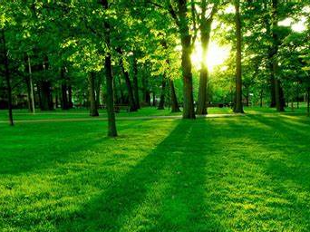 让低碳生活蔚然成风