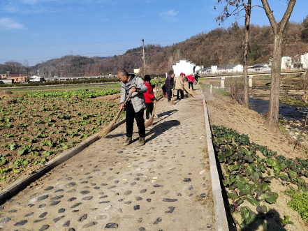 麻家渡镇：以“四强化”常抓人居环境整治