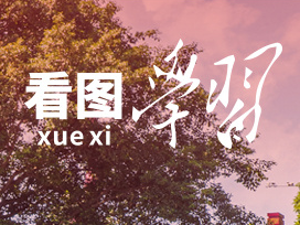 看图学习丨重拳纠治形式主义、官僚主义