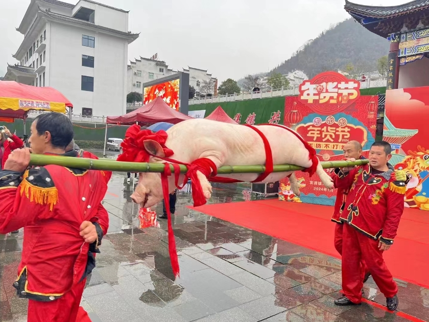 官渡镇首届年货节隆重开幕