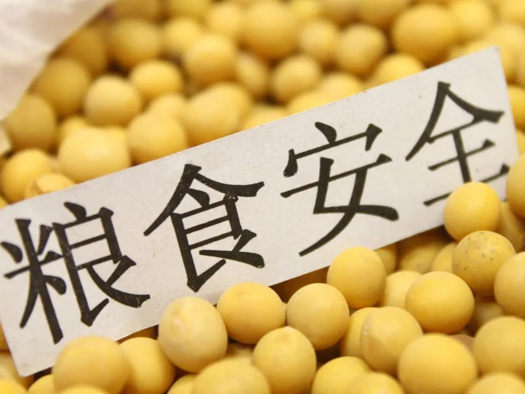 县公共检验检测中心： 三步走守护粮食安全