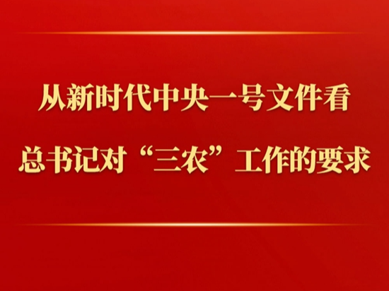 第一观察 | 从新时代中央一号文件看总书记对“三农”工作的要求