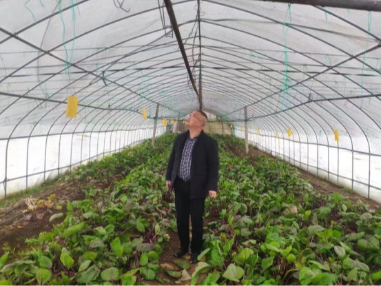 擂鼓镇：立足抗灾自救  确保粮油丰收