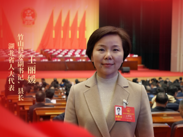 湖北省人大代表王丽媛：做强绿色工业主引擎，坚定不移走好绿色低碳发展之路