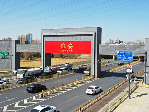 瓣瓣同心｜习近平心中的“千年大计”