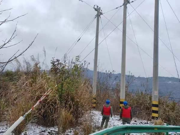 县供电公司：抗风雪 保供电
