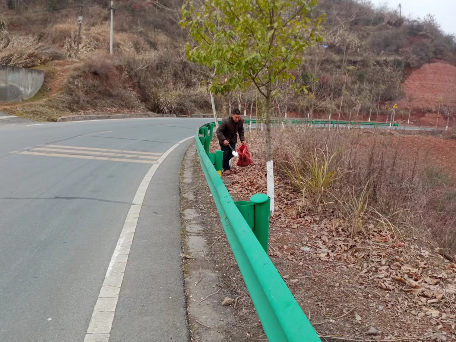 擂鼓镇：生态环保齐发力  景美人和迎新春