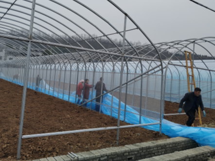 县蔬菜产业发展中心：基地建设正当时  蔬菜基地展新颜