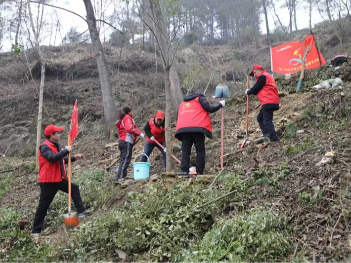 潘口鄉(xiāng)：開展春季義務(wù)植樹活動(dòng)