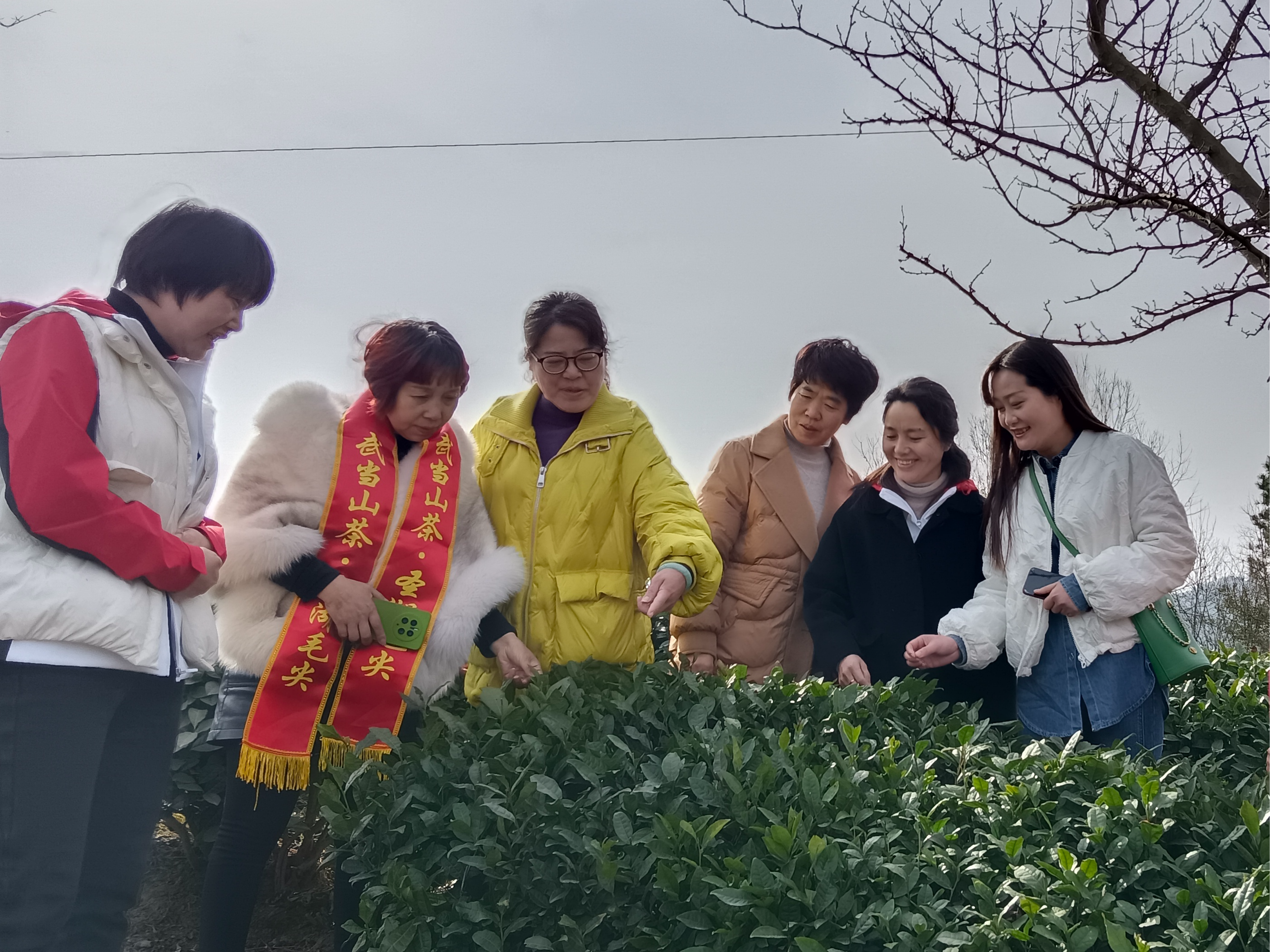 城关镇西关社区：共赴圣湖茶之约