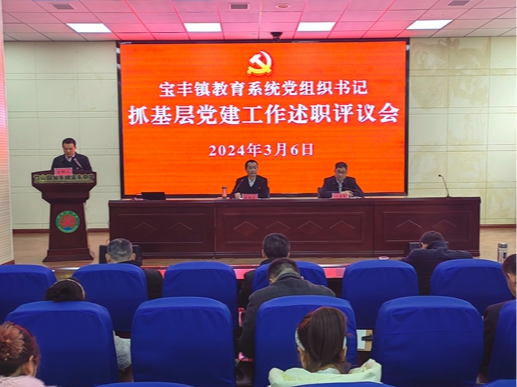 宝丰镇教育系统以“党建红”引领“教育强”