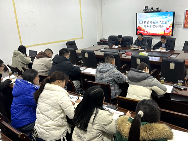 上庸镇：规范“三资”管理  守好“钱袋子”