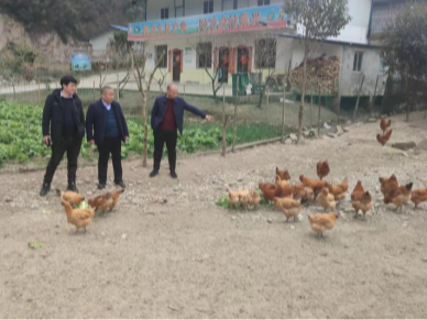 县畜牧中心指导养殖场做好春繁春配工作