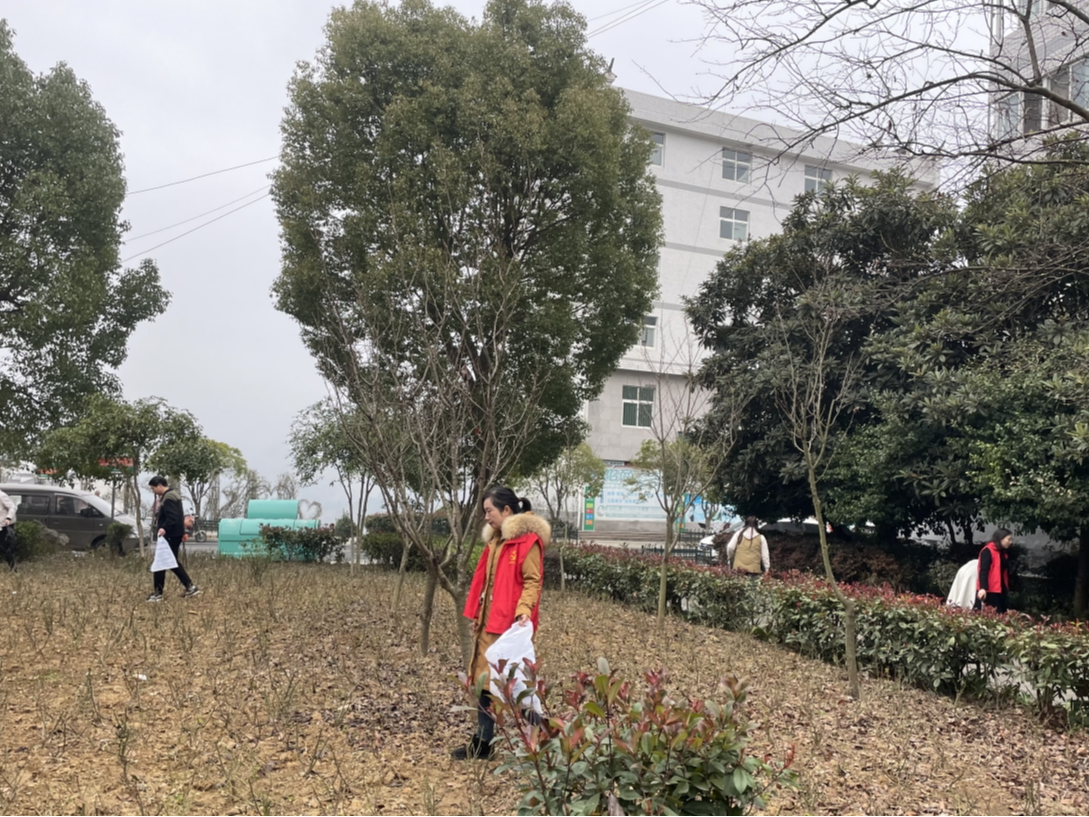 上庸镇：干群合力推进环境“三清”行动