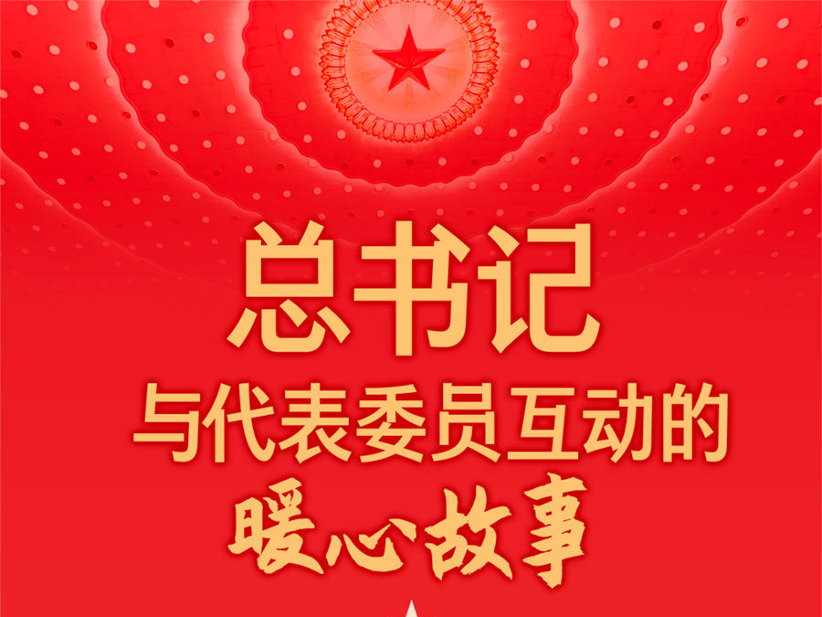 创意长图丨总书记与代表委员互动的暖心故事